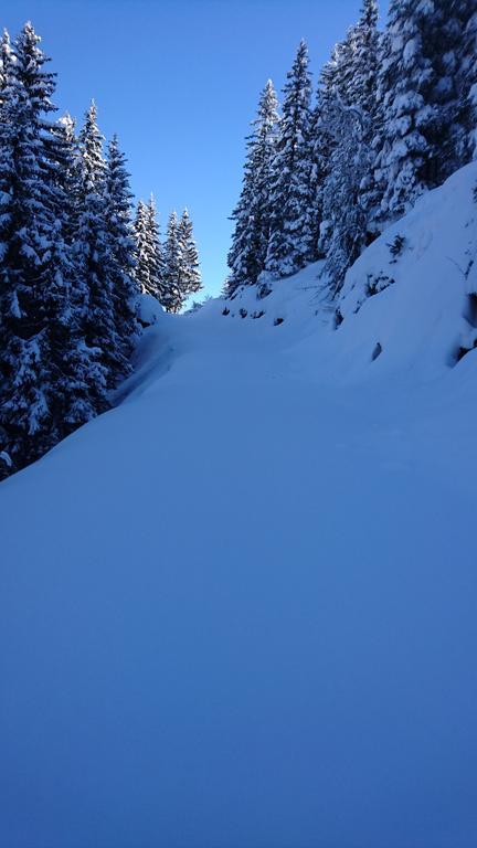 Appartements Rieser Mayrhofen Exterior foto